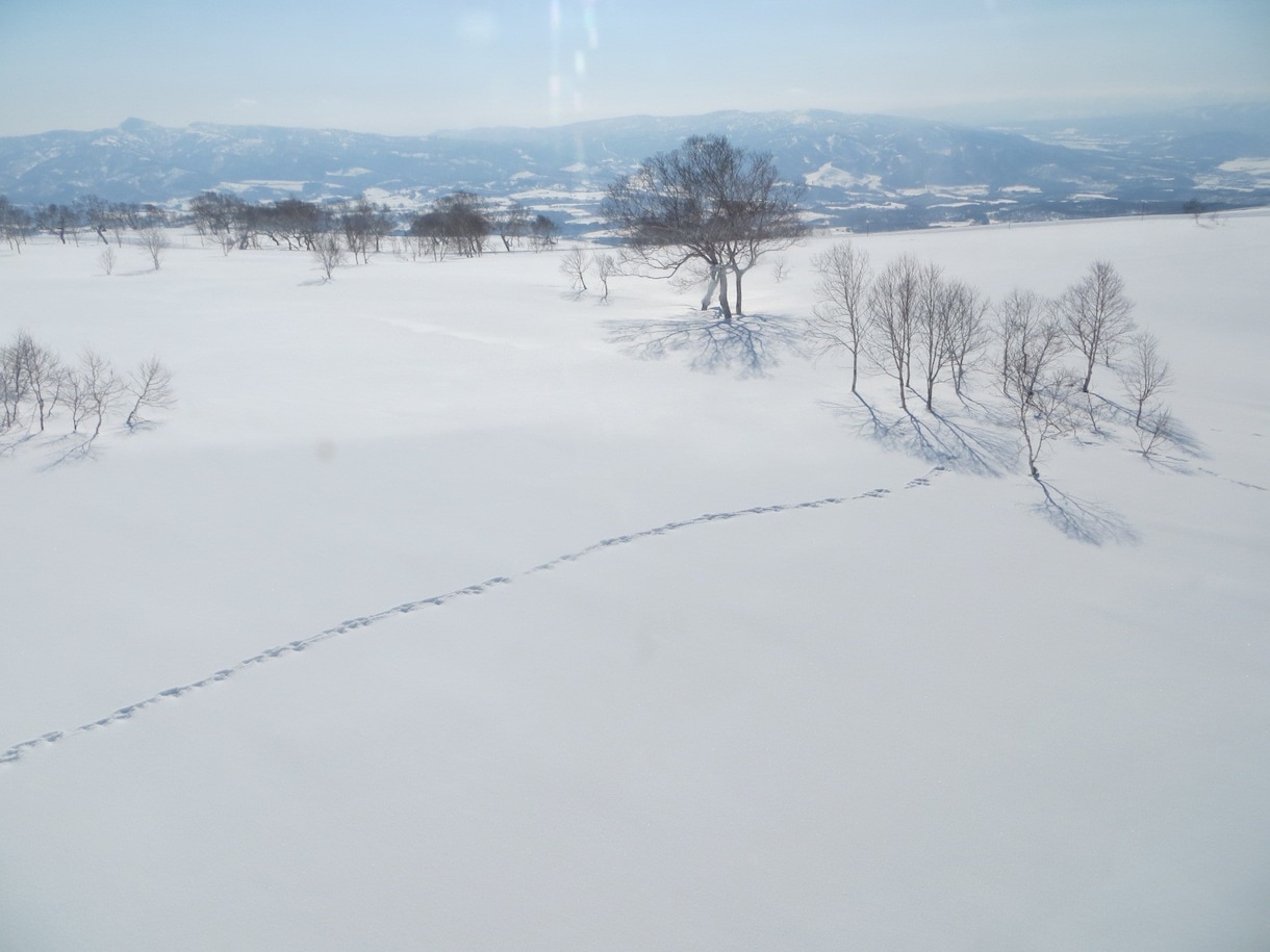北海道旅行がより充実するようサポートします ★北海道観光マスターによる道内各種コンテンツ情報をご案内 イメージ1