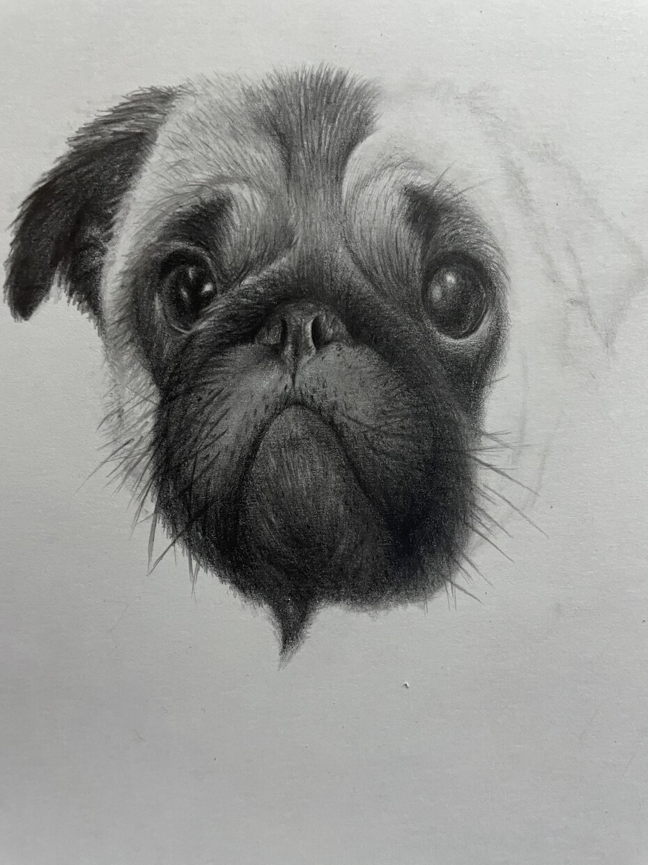 貴方の家の愛犬描きます 基本は鉛筆画をしております！たまにcopicも使います イメージ5