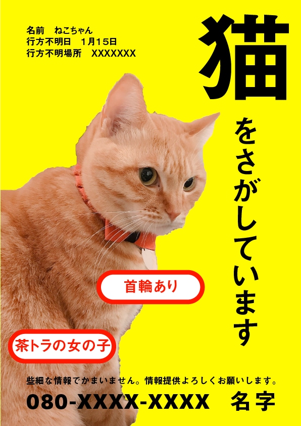 迷子ペットの捜索チラシつくります 現役デザイナーがつくる効果的な捜索チラシ！ イメージ1