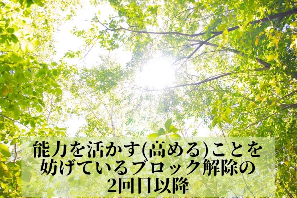 活かそう！あなたのその能力の2回目以降を行います 能力を活かすことを妨げているブロックが取り切れてない方対象 イメージ1