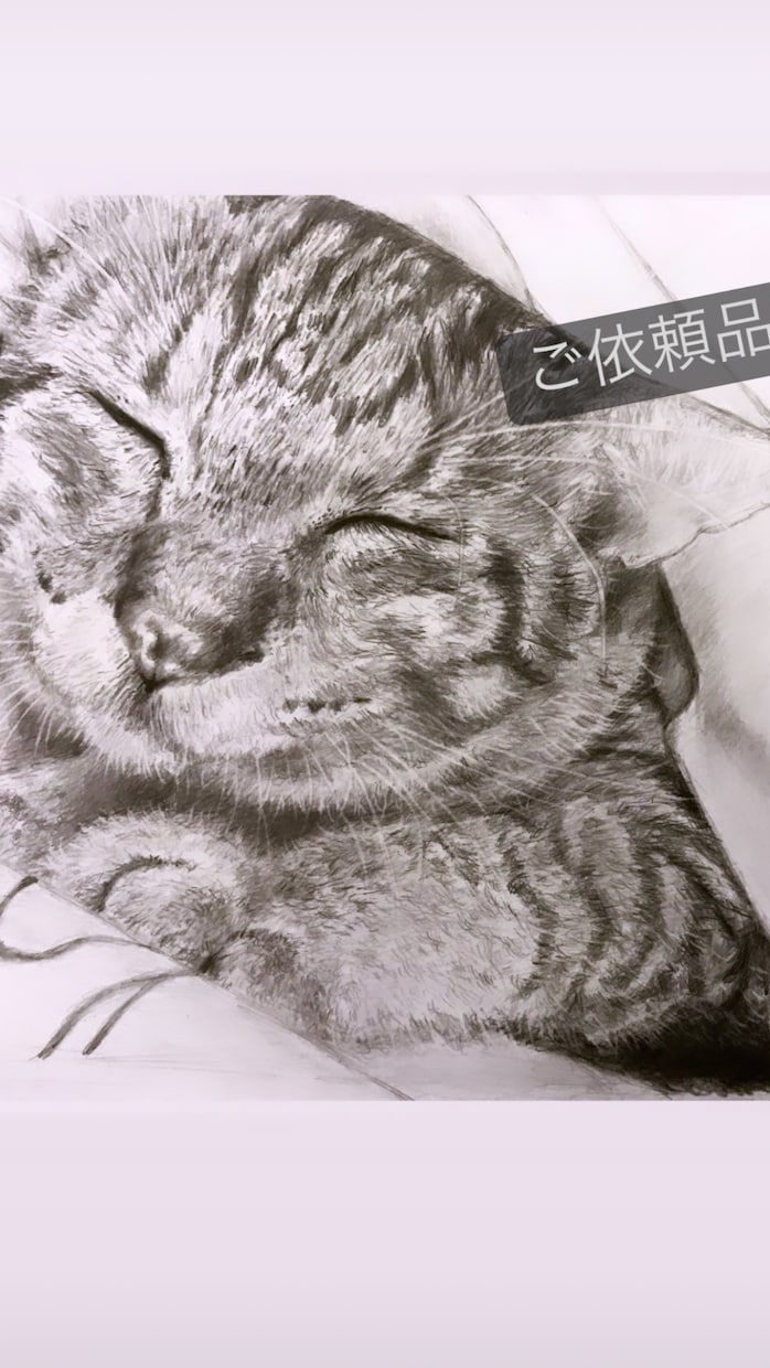 鉛筆で人物や愛犬愛猫などリアルな似顔絵を描きます 鉛筆ならではのあたたかい雰囲気を表現します イメージ6