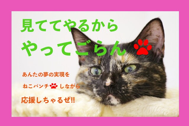 目標を達成する為のお話、何でも、伺います ステップ1は、達成すると決めること。ステップ0から伺います。 イメージ1