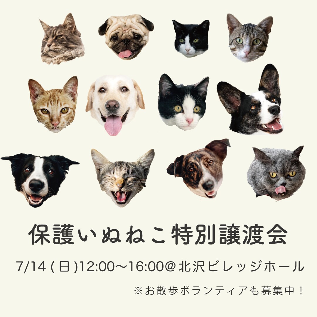 web用バナー・ヘッダー作成しますます 広告用のバナー等の画像を低価格でご提供します イメージ5