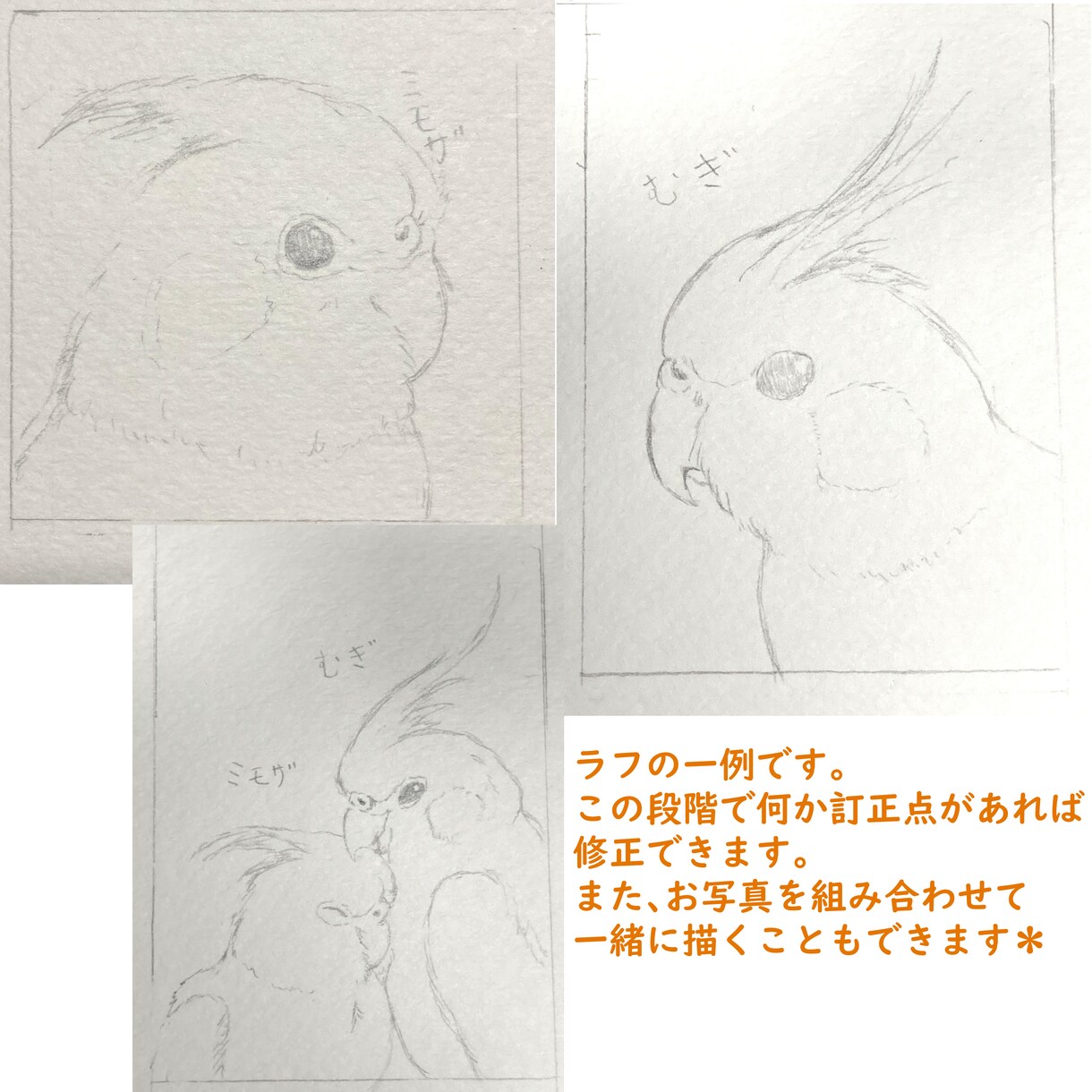 小さいサイズで、動物ちゃんの似顔絵描きます ふんわり優しく♬.*ﾟ可愛らしい表情を描きます イメージ3