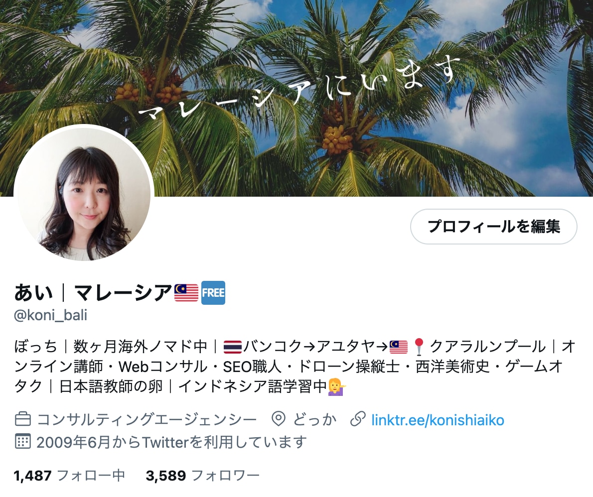 女性マーケターがツイッター集客を教えます ♡何つぶやけいいか分からない方へ。趣味・ビジネスどちらにも！ イメージ2