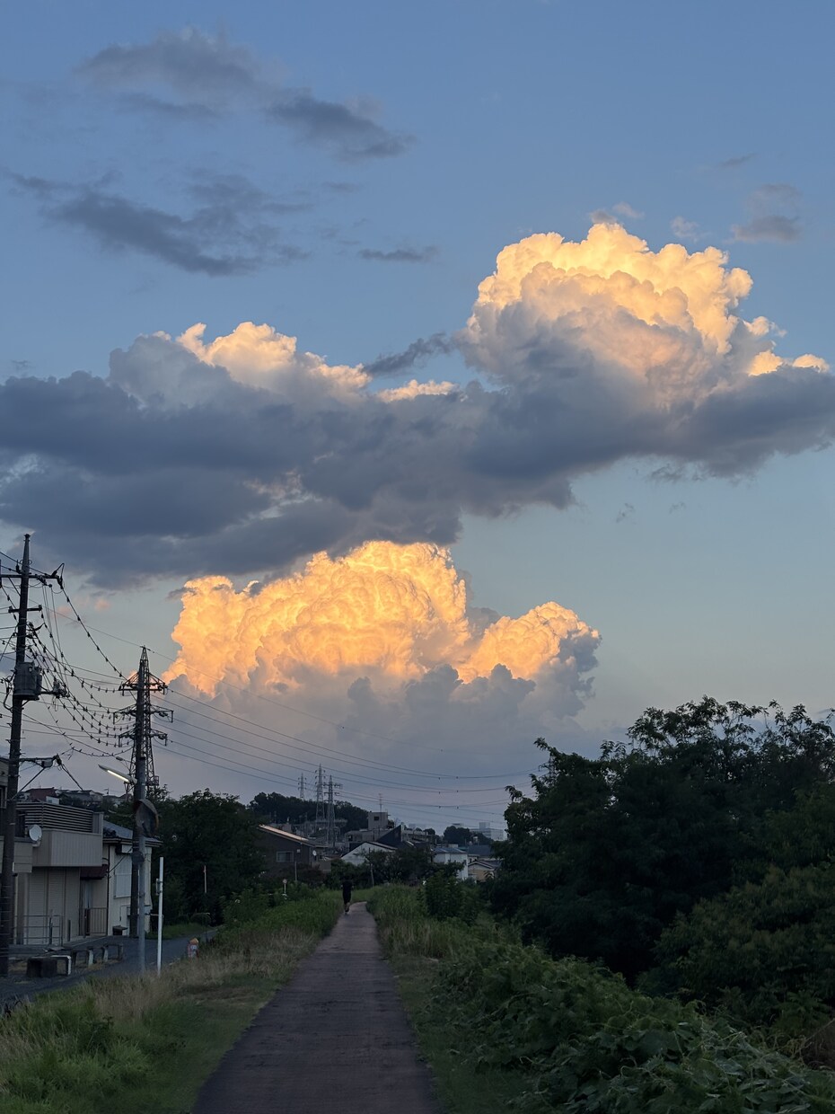 大学生が撮った日常写真を販売します 大学生ならではの視点で切り取った素朴な日常 イメージ3