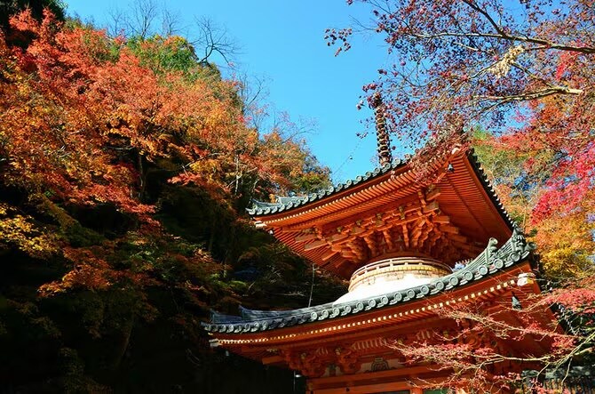 スタンダード｜ロケーション分析します 写真・動画・地図・断片的な情報から場所の分析します。 イメージ1