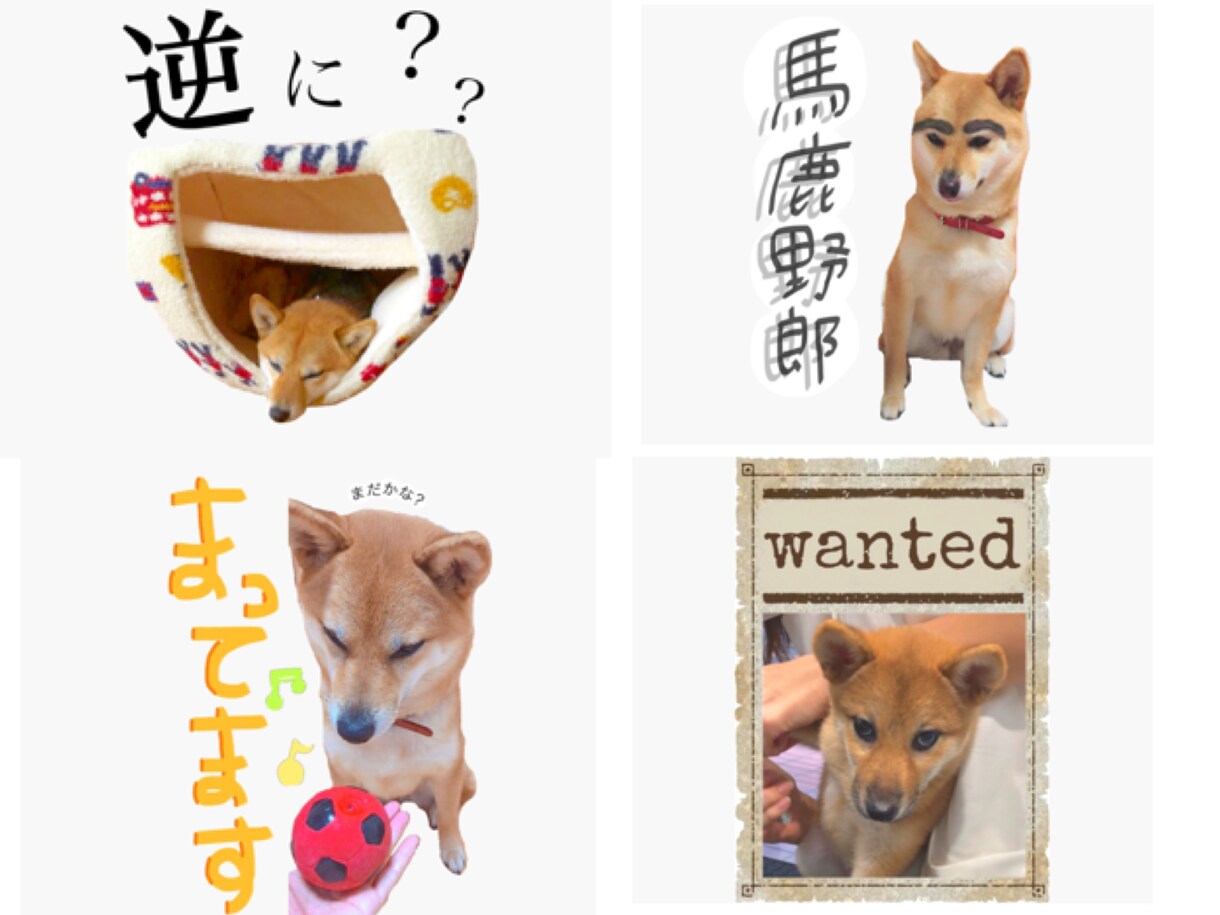 LINEスタンプ作ります お子さんや、愛犬などのLINEスタンプをお作りします！ イメージ3