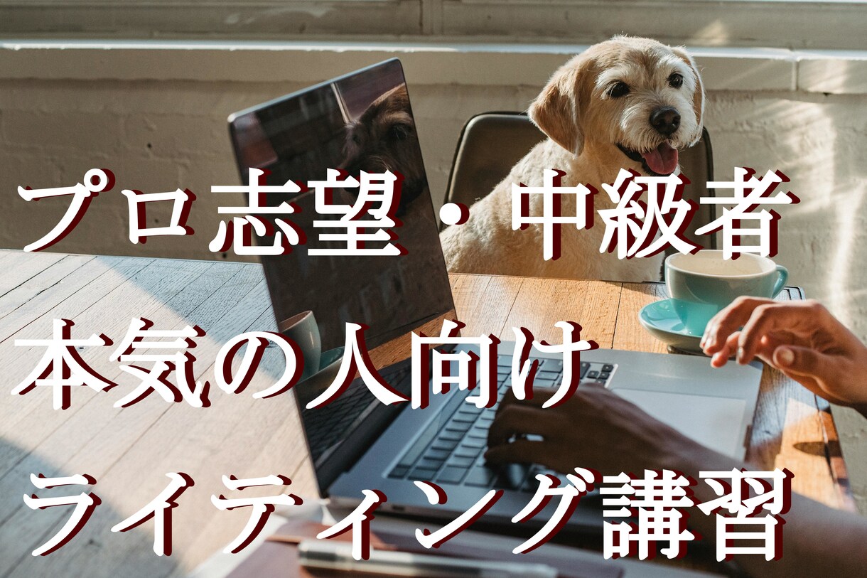 プロの編集ライターが“本気の人”に指導します 未経験からプロ志望向けの「コンテンツライティング」レッスン イメージ1