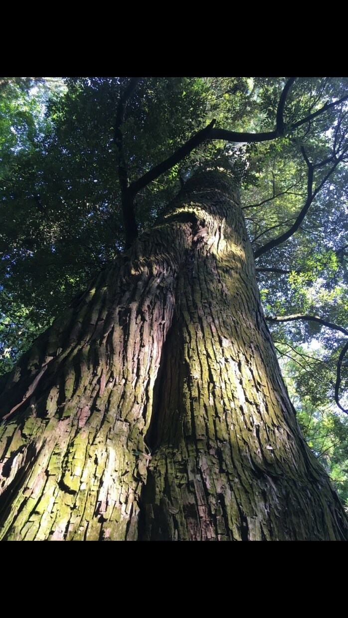 占いの後は笑顔になります 性格占いや恋愛相性占いなど明るい娯楽ツールとしてご利用下さい イメージ1