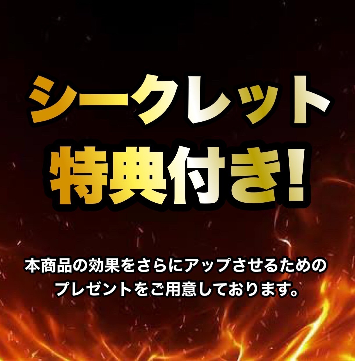 中央競馬　信頼度の高い軸馬の抽出法教えます あなたが知っておくべき軸馬選びの真実　競馬 イメージ4