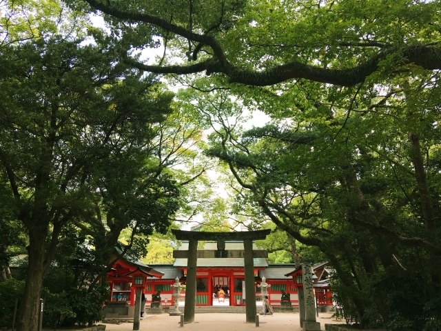 リピーター様限定◆恋愛・人生◆霊感霊聴で占います ◆霊感・霊聴◆恋愛・人生総合◆ツインレイ◆霊視タロット◆ イメージ7