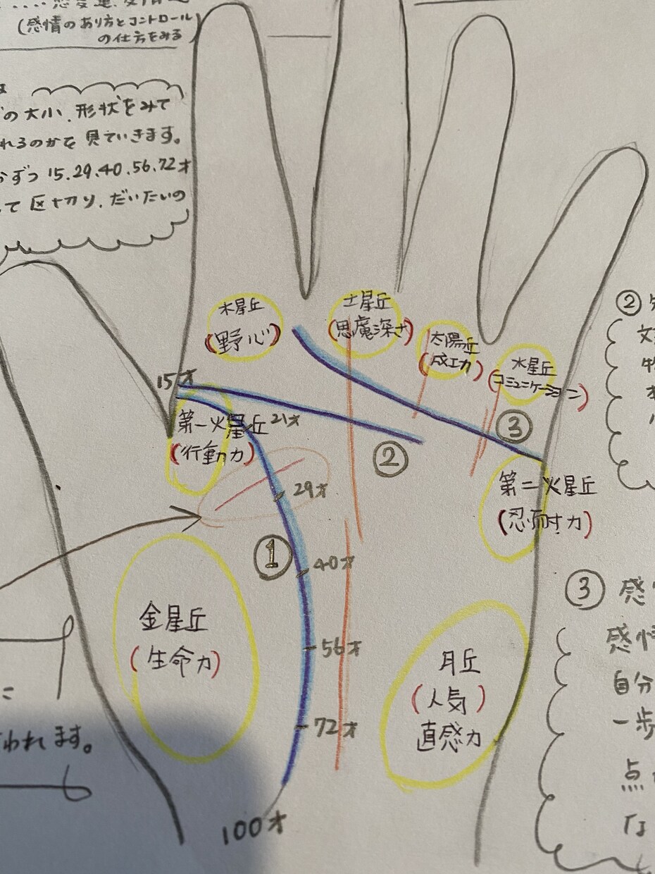 手相占い【利き手で運命を】逆手で宿命をみます 手の平には川、丘、平原小さなあなただけの世界があります♫ イメージ4