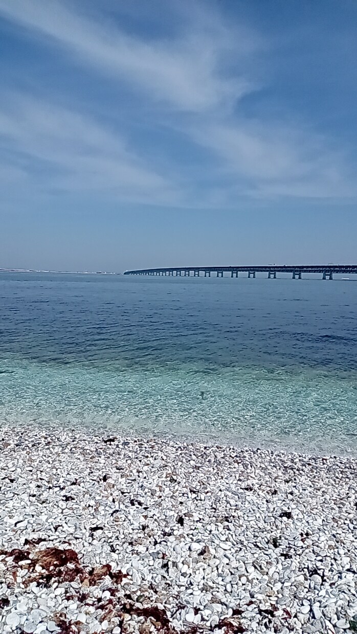現役保育士が応えます お子様の不安。気軽におはなししませんか？ イメージ2