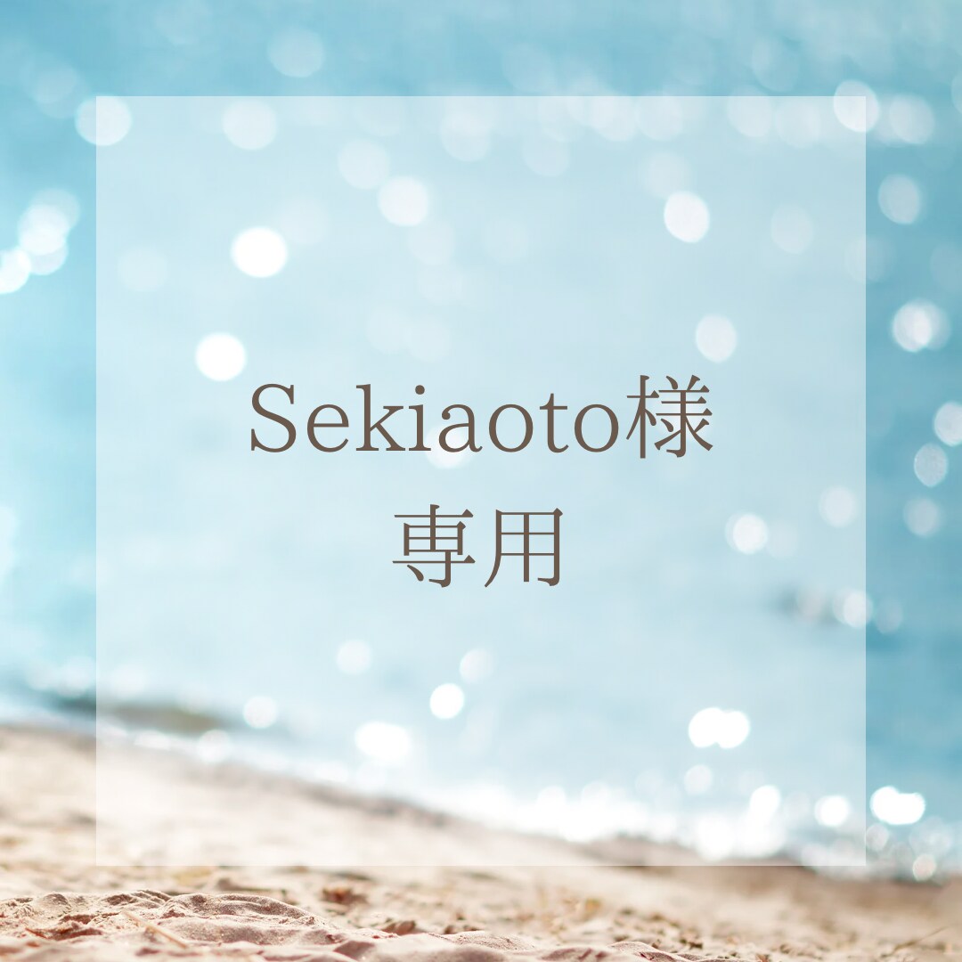 Sekiaoto様専用ページとなっております Instagram運用代行　一ヶ月 イメージ1