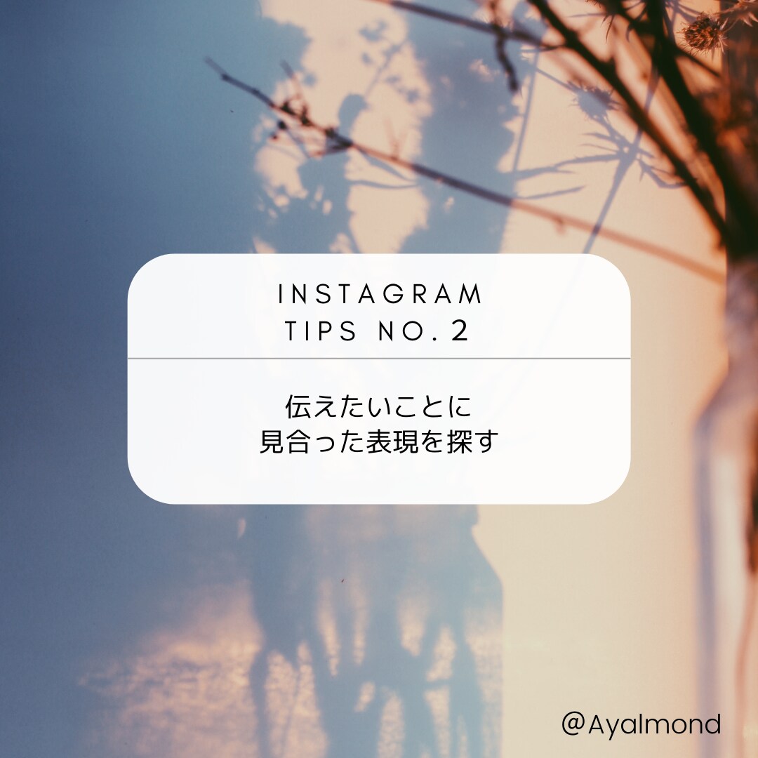 Instagramコンサル＆コンテンツ基盤作ります 〜魅力的なブランド世界観づくり＆現実的な運用サポート〜 イメージ3