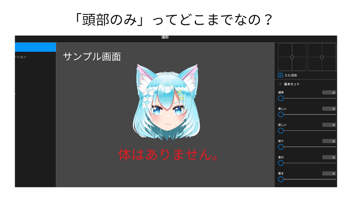 再現度高め！Vroidで「頭部だけ」をつくります ニーズに合わせた、高品質なVroid頭部モデルをお届け イメージ6