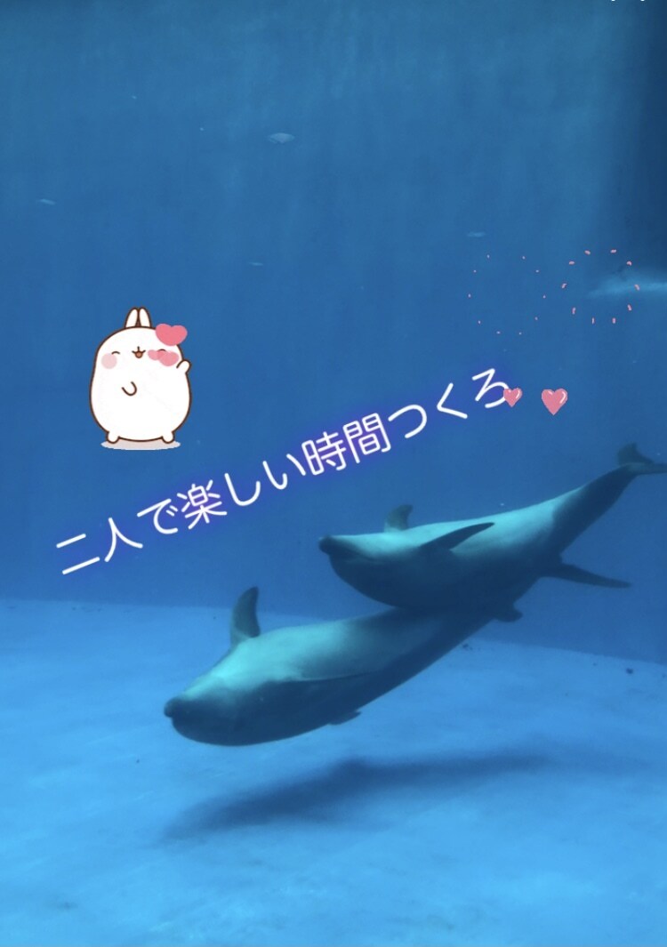 チャット相手になります 電話じゃ戸惑いってありますよね(・・?)文字でお話しましょ✨ イメージ1