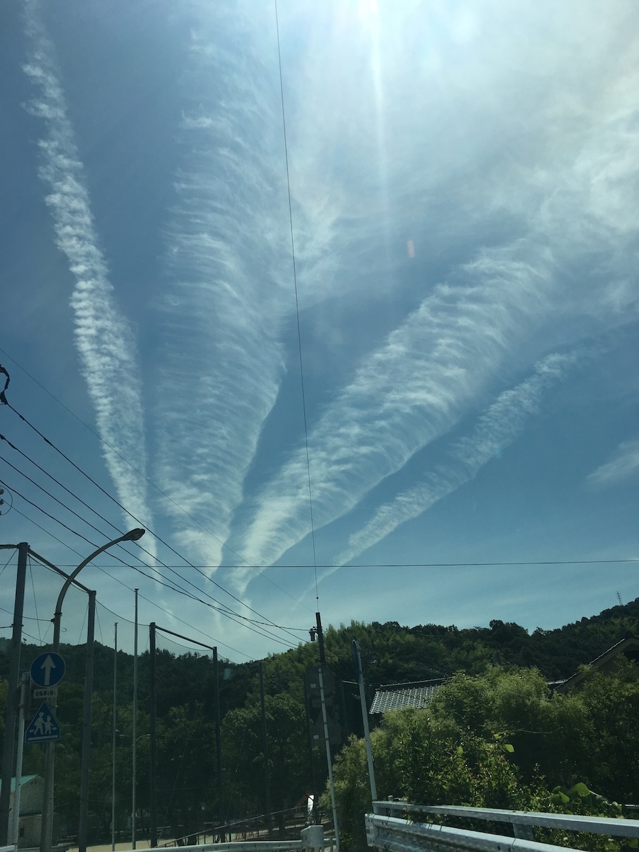 タロット占いとお話しをお聞きします *タロット占いと、受けたメッセージをお伝えします イメージ4