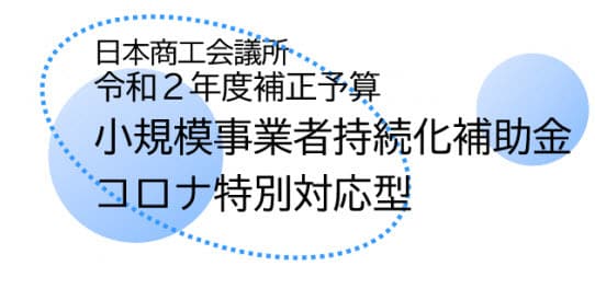 小規模事業者持続化補助金「コロナ型」計画書作ります コロナ型の様式２の作成をお手伝いたします。 イメージ1