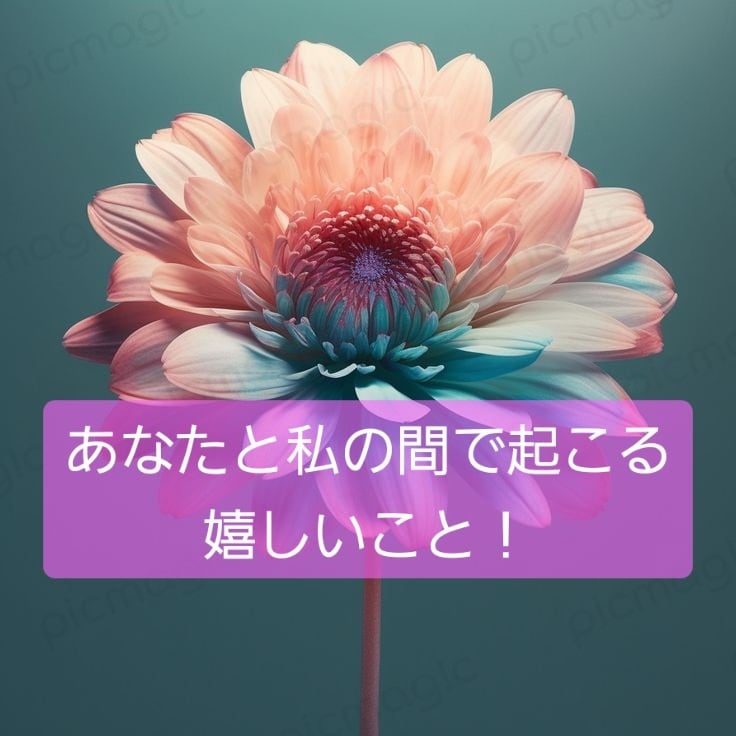 あなたと私の間で起こる嬉しいこと！鑑定します 恋愛・パートナーとの間で起こる嬉しいこと！オラクルとタロット イメージ1