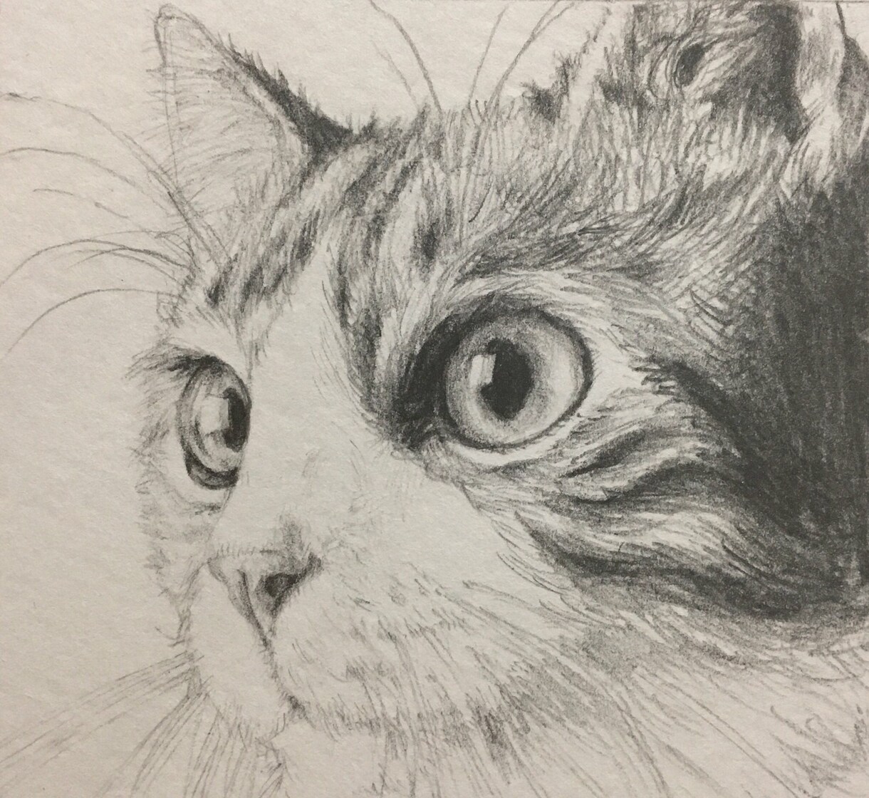 お好きな画材(5種の内)でアイコンを描きます デジタル、水彩、色鉛筆、コピック、カラーペンから選べます！ イメージ9