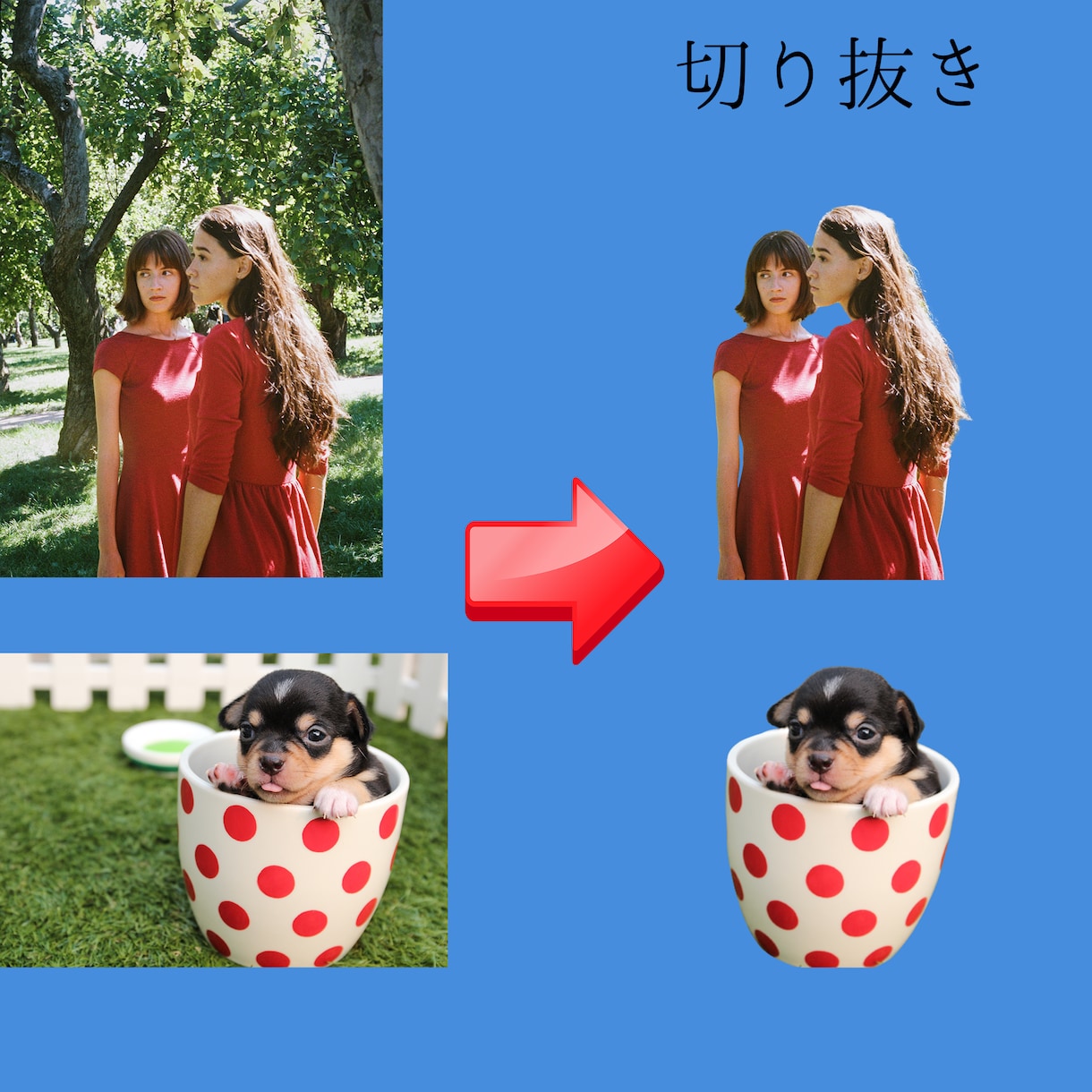 画像を切り抜き・白抜き致します 中品質で24時間以内に対応します（1枚単価：50円） イメージ1
