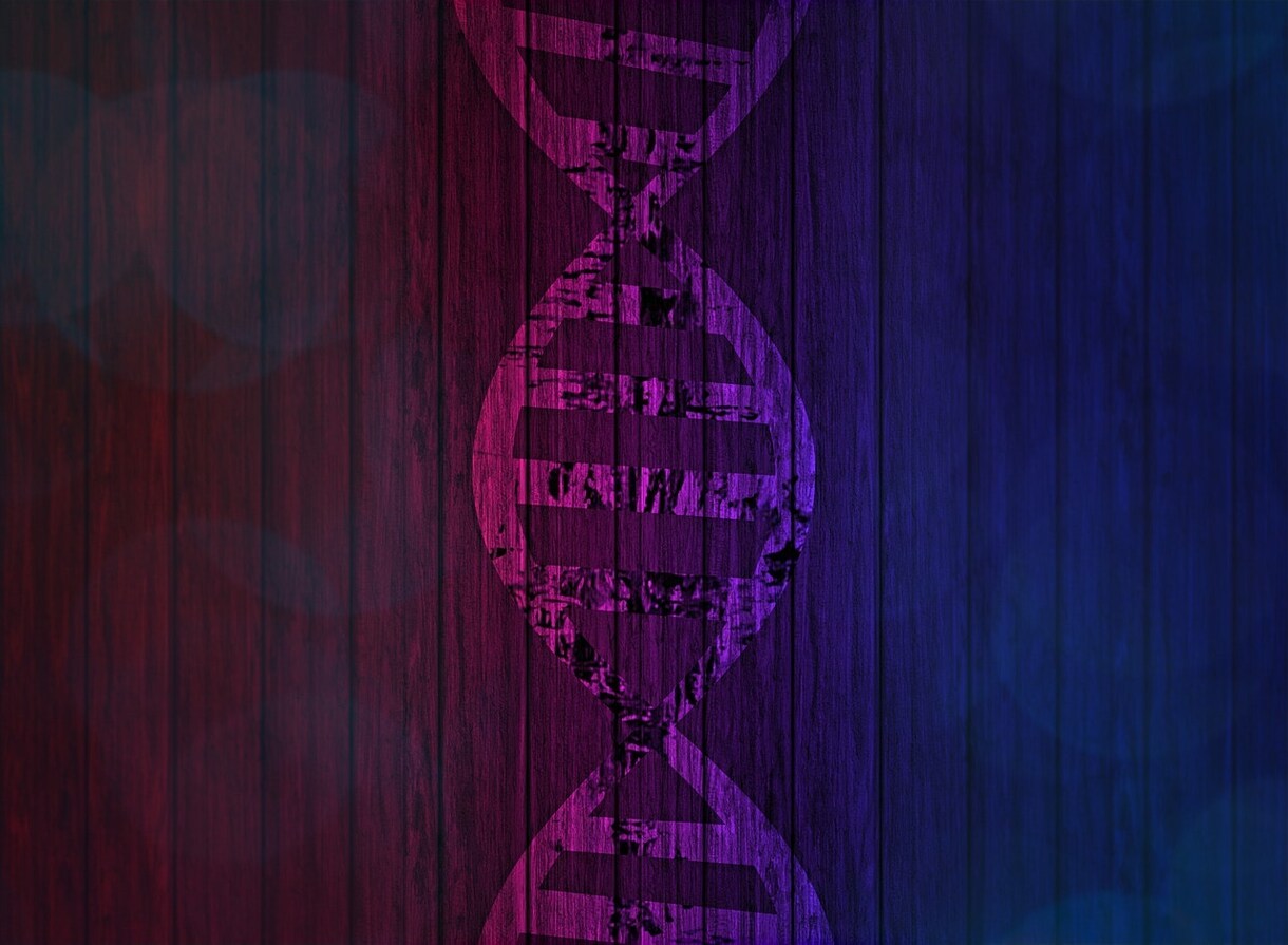 あなたの太る原因は？気になる原因を教えます 人は生まれながらにして、太る原因が遺伝子により決まっています イメージ6