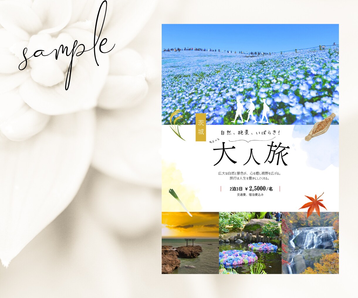 心を掴むチラシ・フライヤー作成します 修正無制限！伝わるチラシお任せください！ イメージ3
