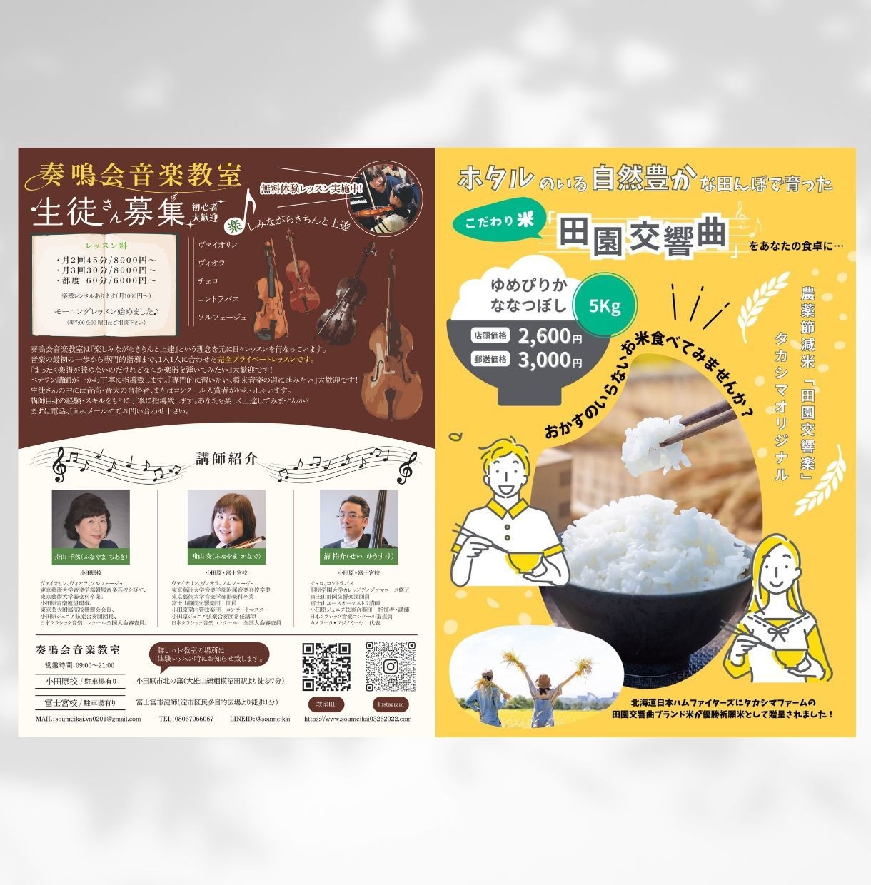 伝わる、見やすいチラシ作成します シンプル、ポップ、キレイ、女性らしい、美容、イベントなど イメージ8