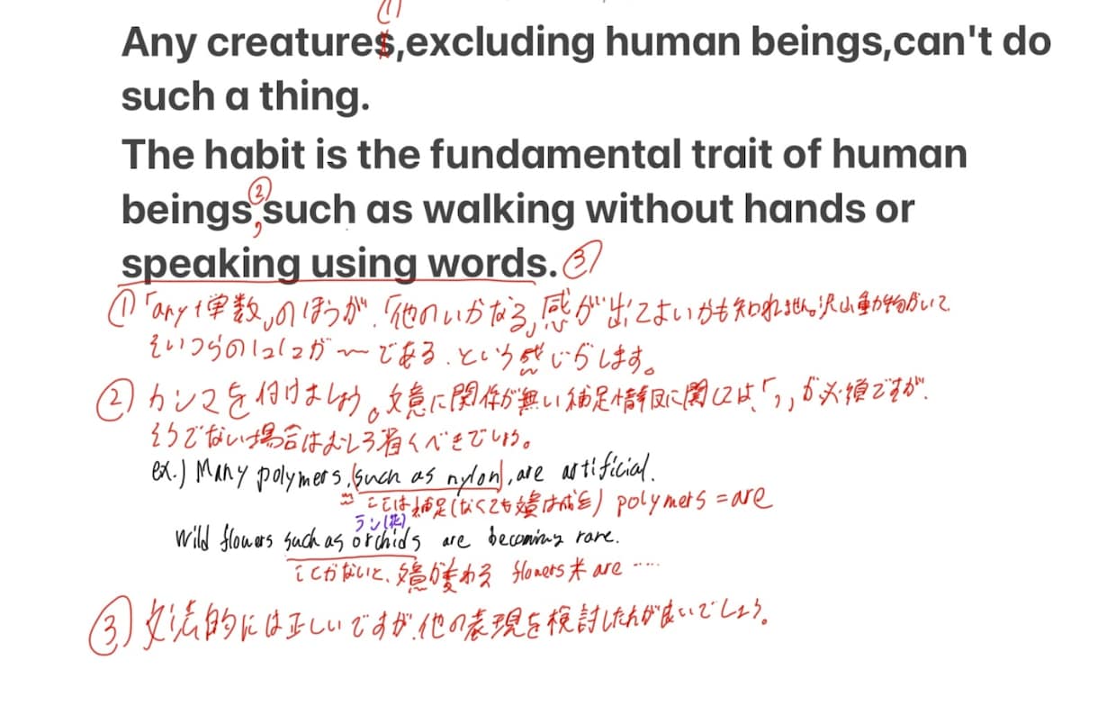 詳細なフィードバック付きの英文添削を行います 英検一級、留学経験有りの現役塾講師が格安で英作文を添削します イメージ1