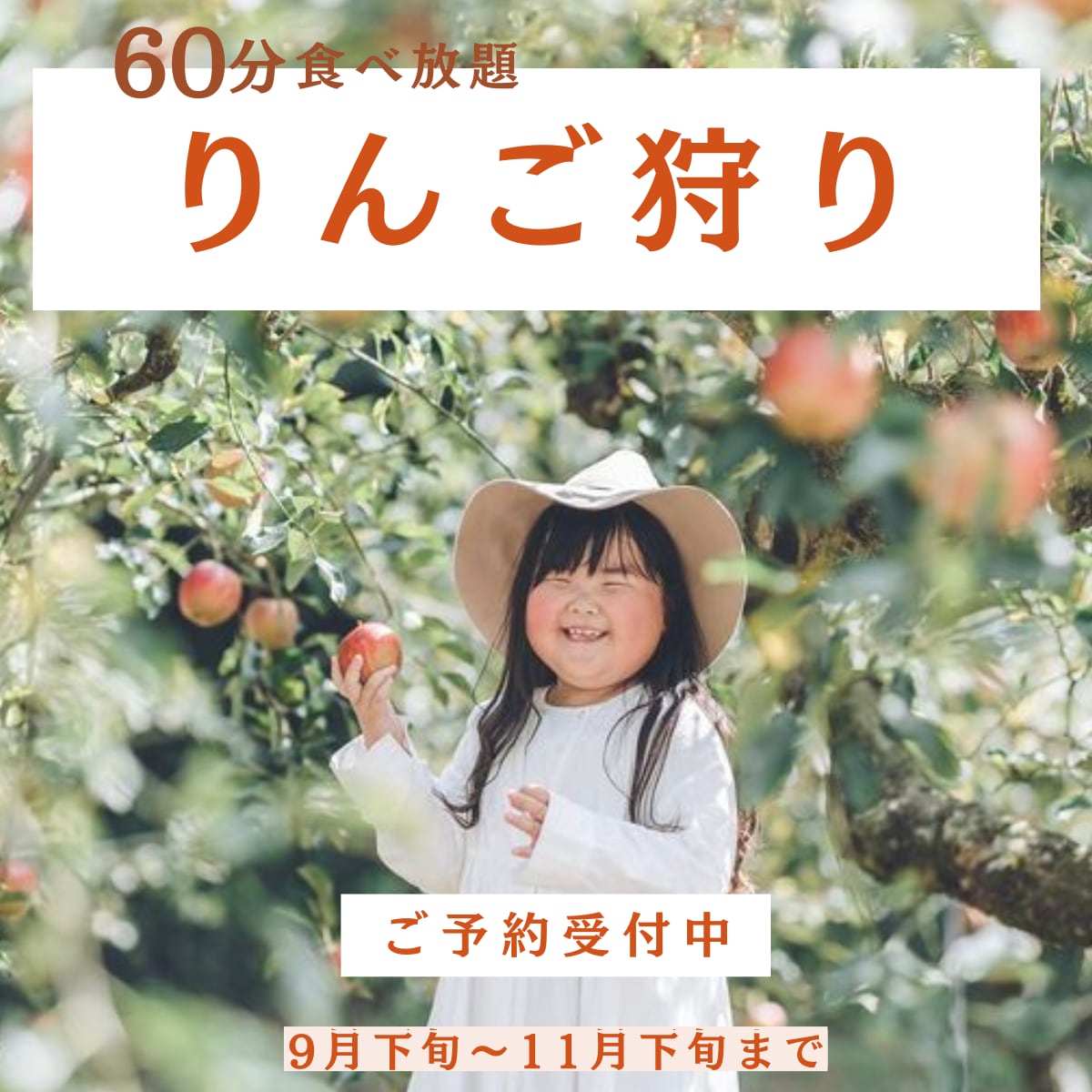 バナー、ヘッダーなど目につくWEB画像制作します ひとりひとりのお客様に最適なWEB画像を早期に提案します イメージ2