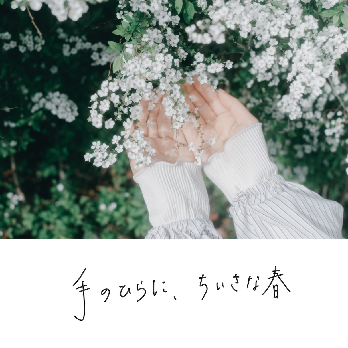 写真に手書き文字を入れます 思い出の写真に、ことばを添えて イメージ7