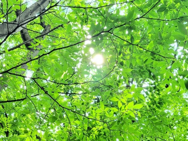 失恋・復縁のお気持ちを伺い、希望の方向へ導きます さぞお辛かったでしょう。ゆっくり吐き出してください。 イメージ1