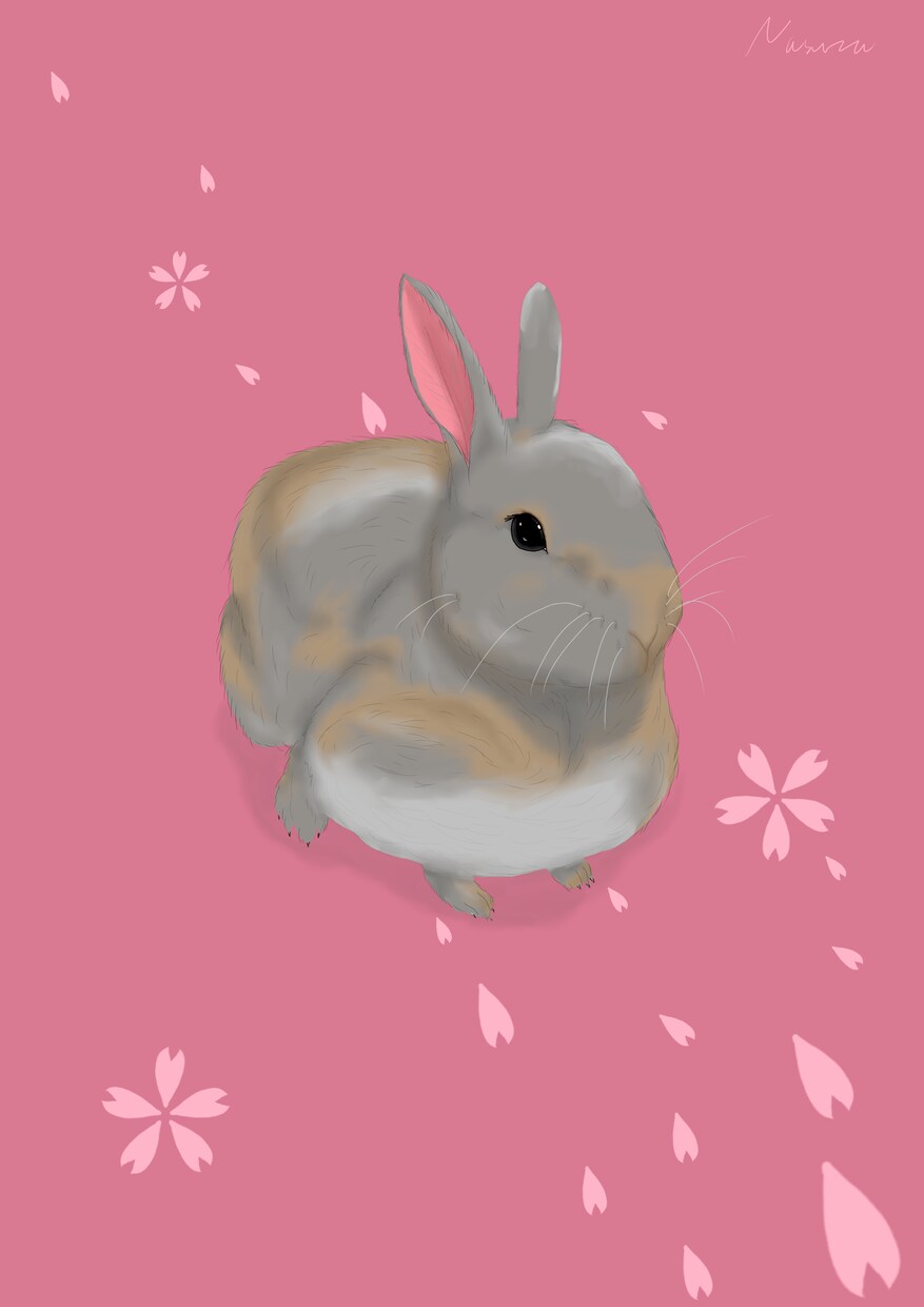 ペットのリアル系イラストを描きます 飼われている動物には種を問わず対応いたします！ イメージ2