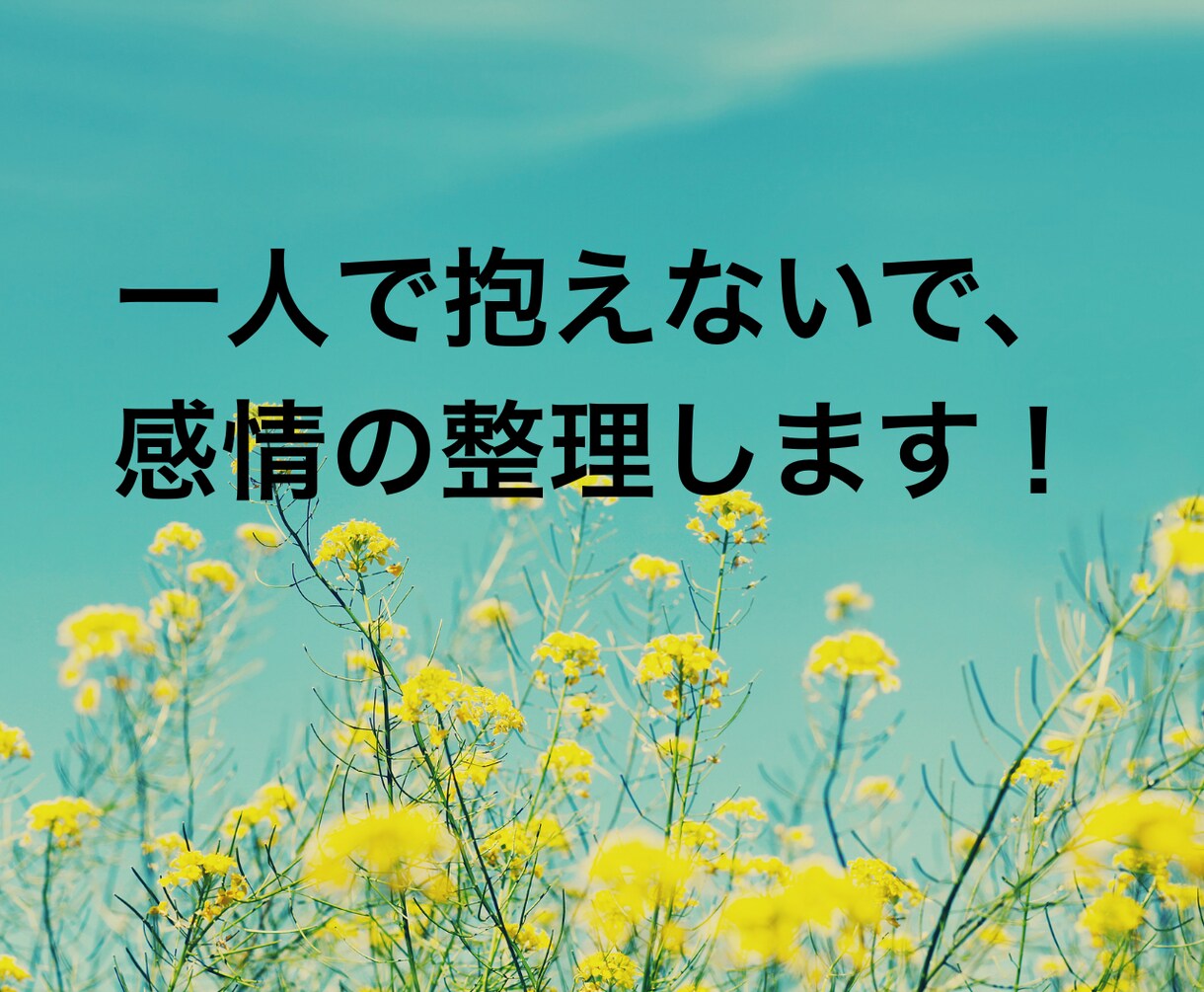 感情整理・不安な気持ちを落ち着かせるお手伝いします 私も苦しんだ！ふんわりした声で安心できる時間を提供します イメージ3
