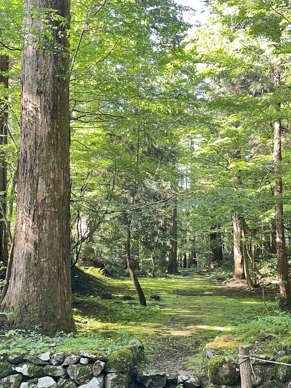 恋愛依存/彼の話を聞いてほしい/あなたの話聞きます 彼のことで頭がいっぱいになってしまうひとへ イメージ6