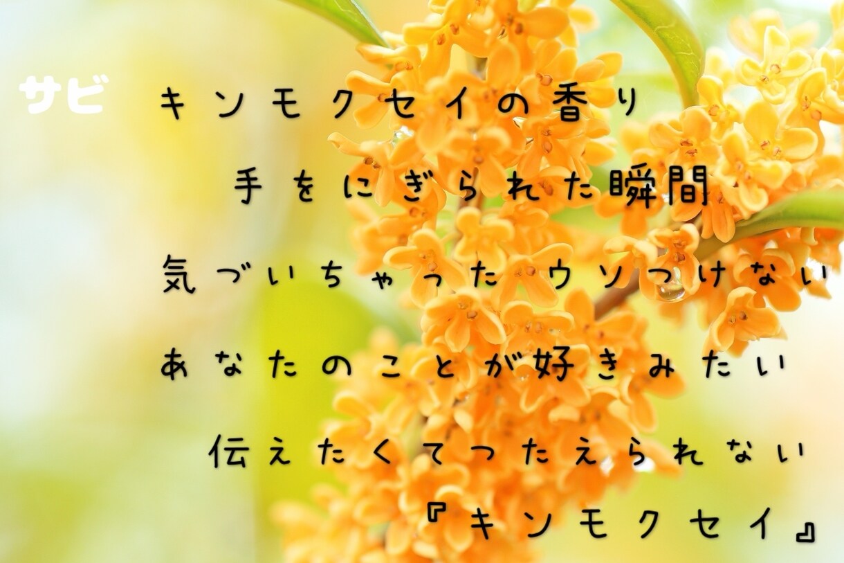 現役シンガーソングライターが作詞します ココロに語りかける詞から明るくポップな詞まで幅広く対応 イメージ2