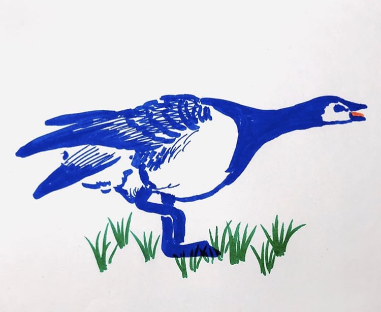筆ペンなどで、簡易的なペットのイラストを描きます 一筆に魂を込め、動物の可愛さを引き出します！似せてみせます！ イメージ3