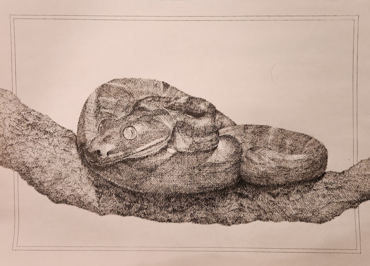 精緻なペン画のポストカードを制作します 一点物の絵画を手に取りやすいサイズであなただけのものに。 イメージ1