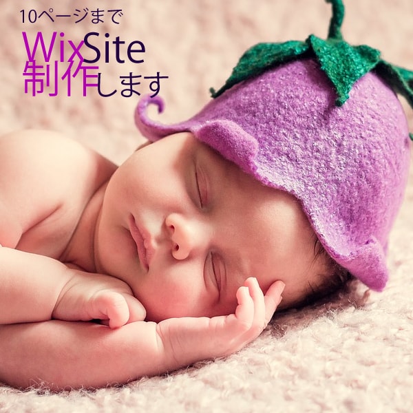 WixサイトをプロのWebデザイナーが制作します 面倒で作れない、うまく作れない方へ イメージ2