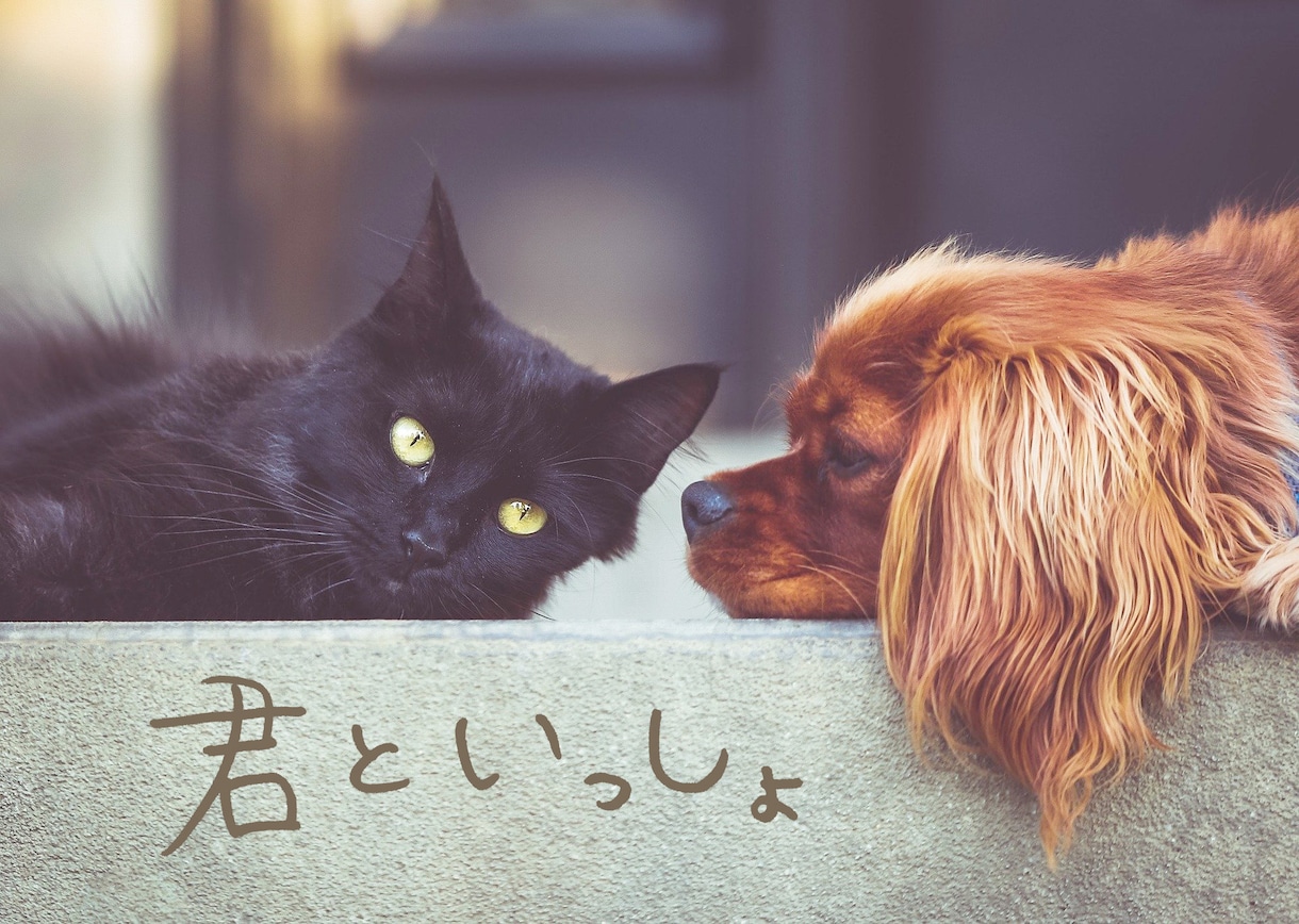 商用利用・著作権譲渡込み！ペン字データ作成致します 文字切り抜き・背景透過も無料！手書き文字をお求めのあなたに♪ イメージ6