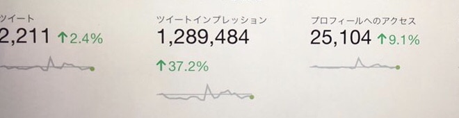 100 RT超‼︎大多数にTwitter宣伝します 値下げ！SNSフォロワー獲得・宣伝・集客・拡散Twitter イメージ2