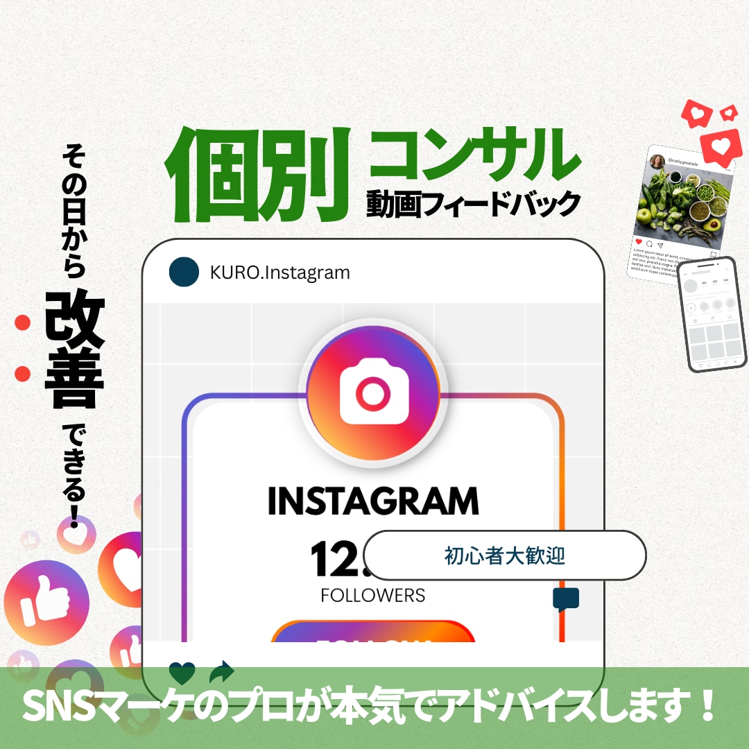 個別コンサル目的に合わせて伸びるインスタへ導きます フォロワー10万人・月収250万のプロが動画で添削します イメージ1