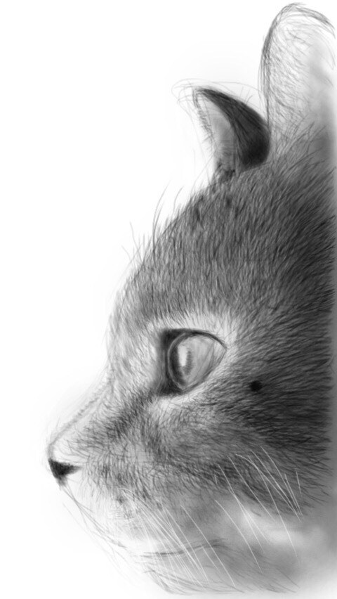 やさしくてあたたかいイラスト描きます デジタルとは思えないやさしいタッチで温もりを感じるイラストを イメージ8