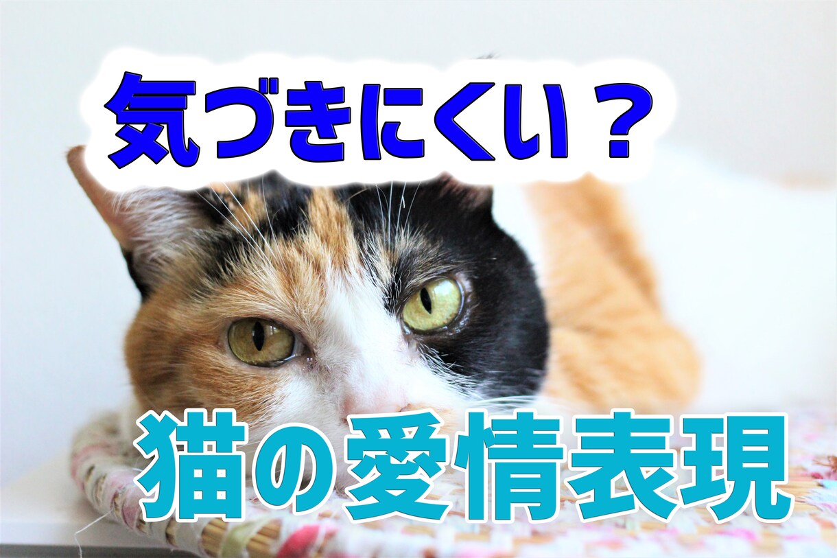 無料修正♪YouTubeのサムネイル作ります 【2枚で1000円】何回でも修正無料！！ イメージ3