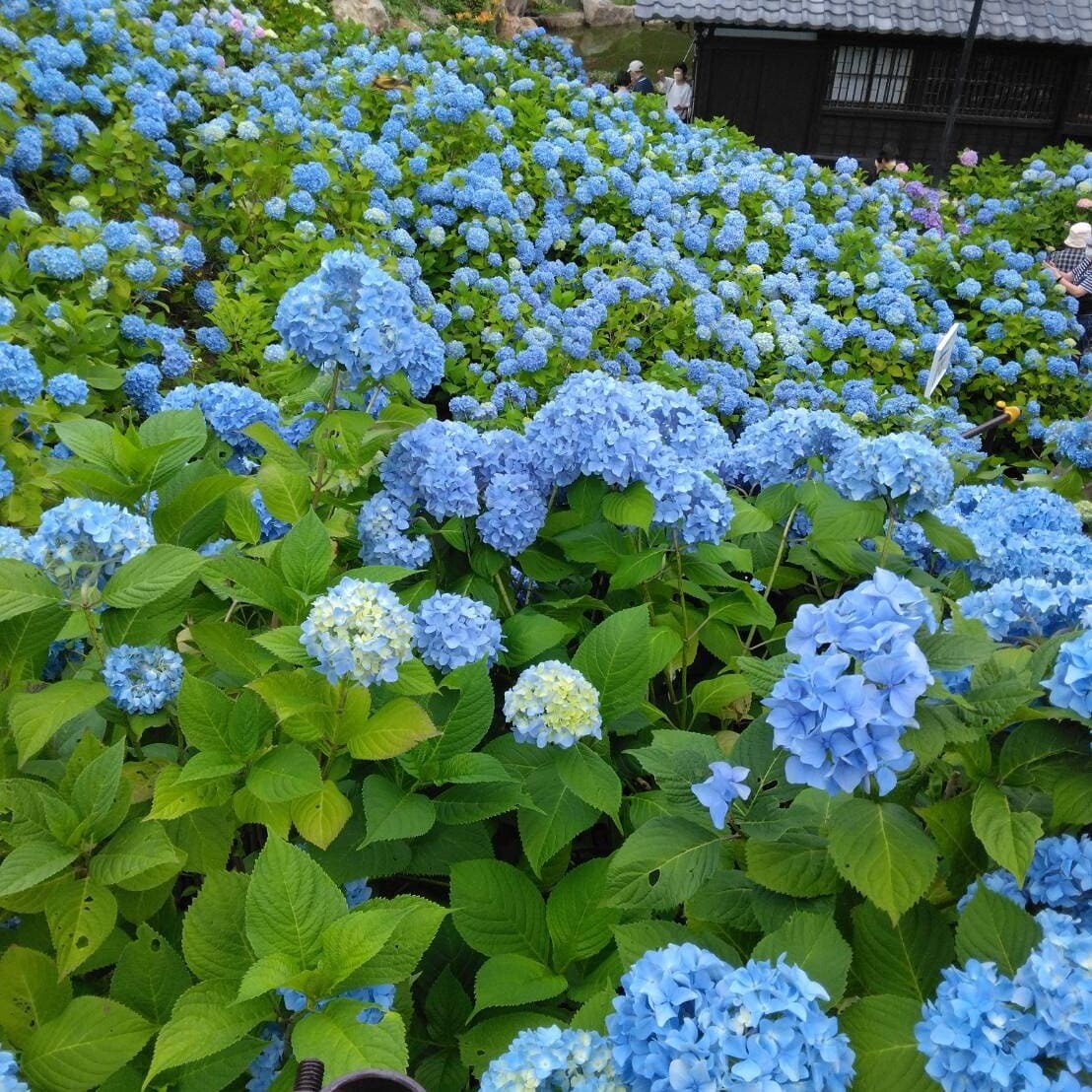 どんな占いもします 悩んで光が見えない貴方に背中を押します イメージ1