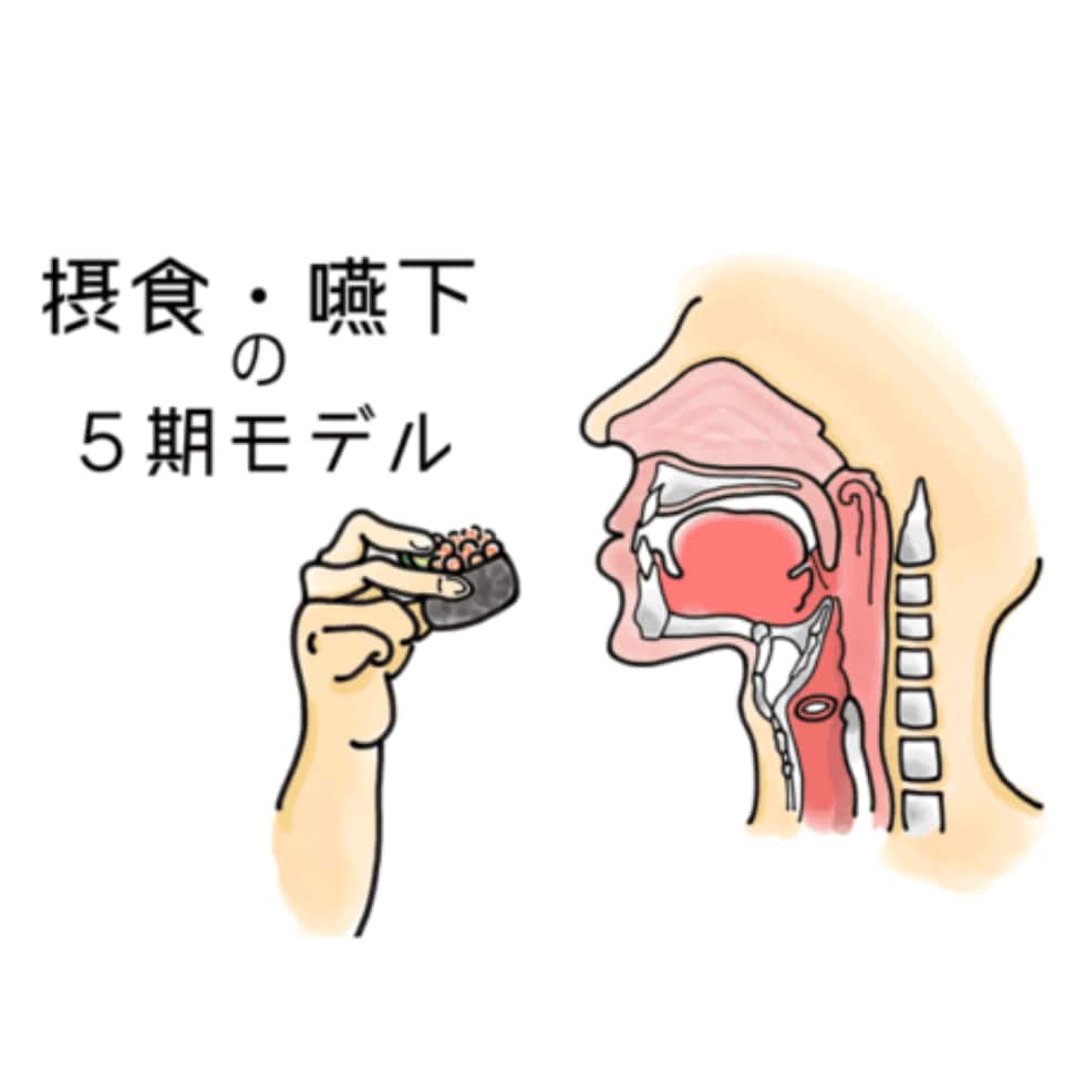 言語聴覚士が食事のお悩み解決します 10年目STが嚥下リハで実際提供した知識を共有 イメージ5