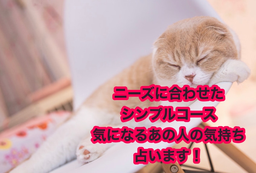 気になるあの人の気持ち44枚のカードで占います ♥お答えは3000文字の大ボリューム質問はすべてオプションに イメージ1