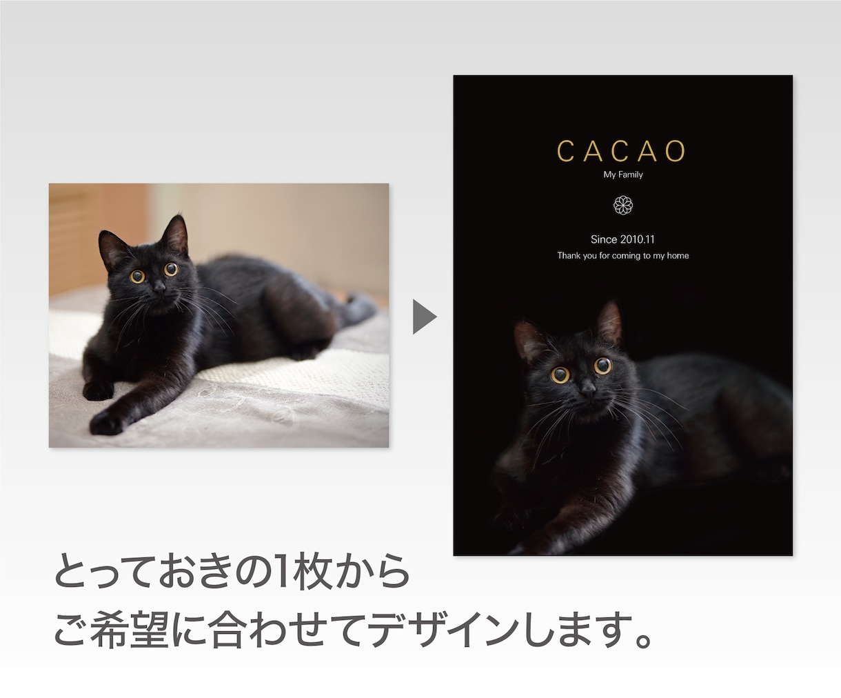 オリジナルのペットホスター・カードを作成します とっておきたい写真をいつも見ていたい1枚に イメージ4
